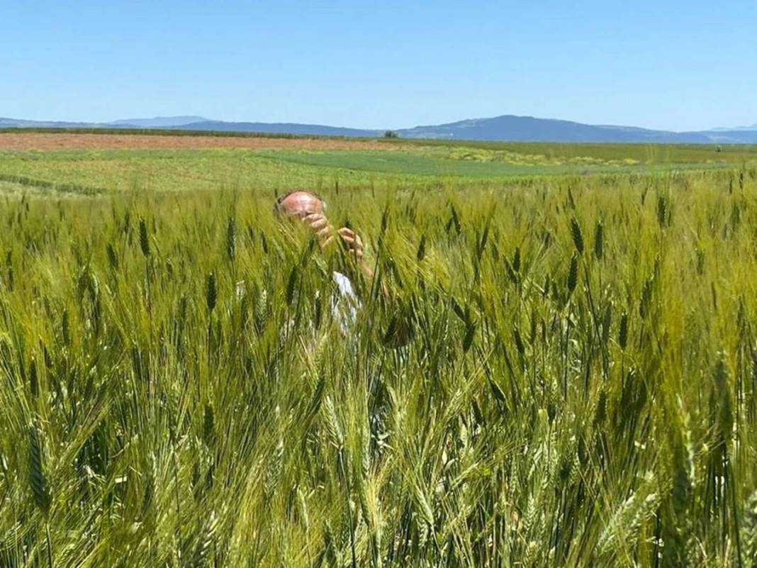 Yağmurdan sonra ortaya çıktı, tarla sahibi büyük şaşkınlık yaşadı! 1.80 metre uzunluğunda, sonunda makarna olacak 3
